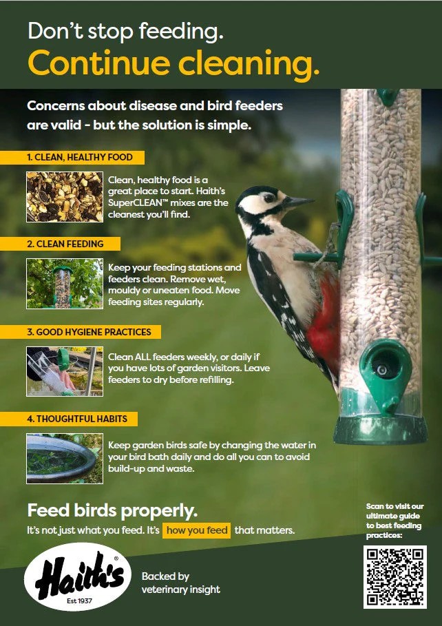 bird feeder 1 (002)